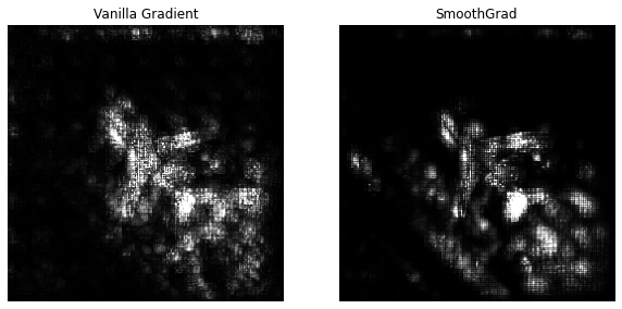 ../../_images/2ndPart_Chapter7.ImageClassification_7.8_ImageClassificationInterpretation_14_0.png